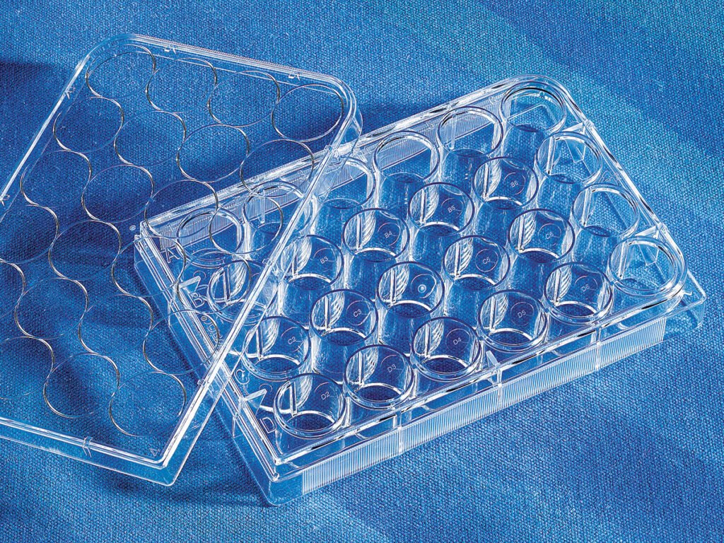 24 well plate